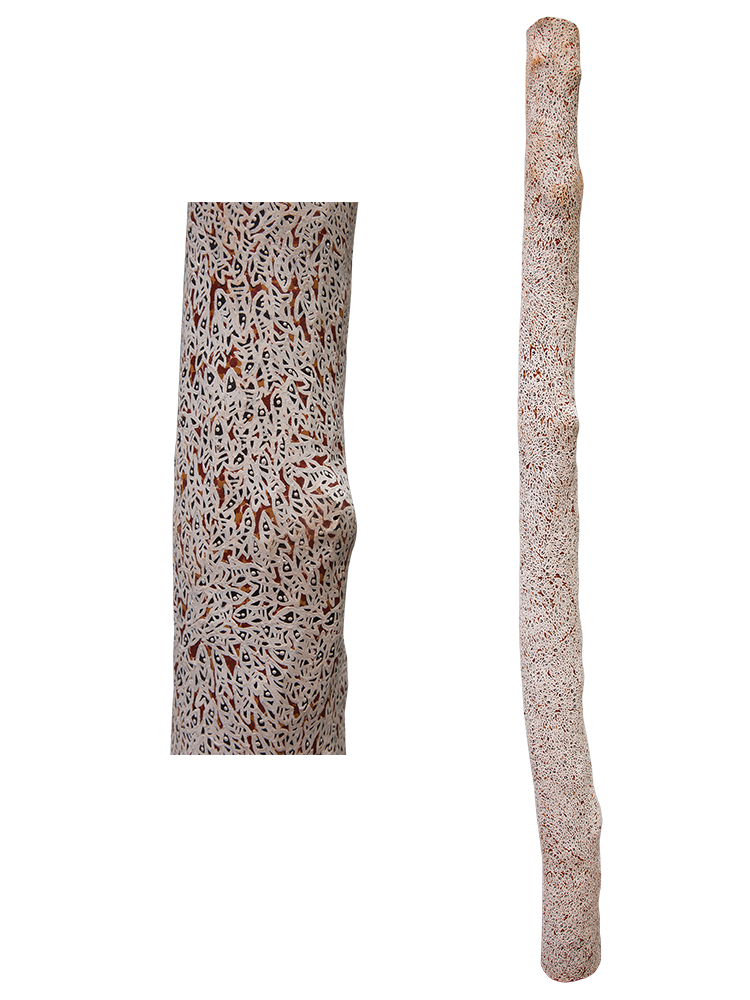 Australian Indigenous (Aboriginal and Torres Strait Islander) artwork by WUKUN WANAMBI of Buku-Larrnggay Mulka (Yirrkala). The title is Trial Bay. [4791A] (Earth Pigments on Hollow Log - Larrakitj)