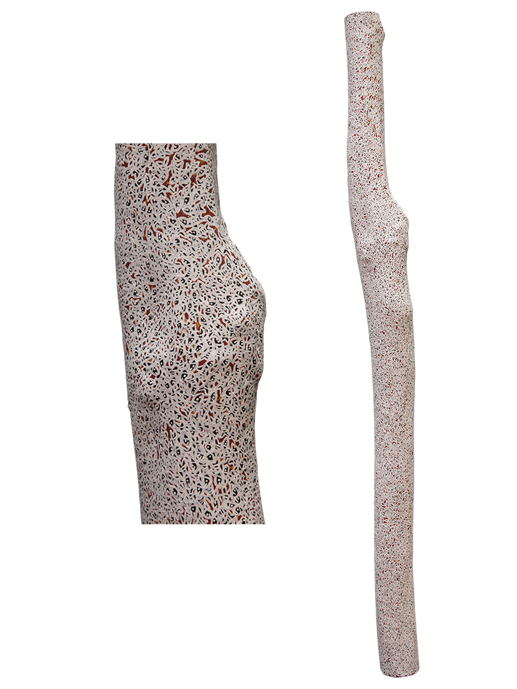 Australian Indigenous (Aboriginal and Torres Strait Islander) artwork by WUKUN WANAMBI of Buku-Larrnggay Mulka (Yirrkala). The title is Trial Bay. [4873T] (Earth Pigments on Hollow Log - Larrakitj)