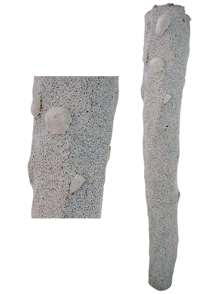 Australian Indigenous (Aboriginal and Torres Strait Islander) artwork by WUKUN WANAMBI of Buku-Larrnggay Mulka (Yirrkala). The title is Trial Bay. [4849C] (Earth Pigments on Hollow Log - Larrakitj)