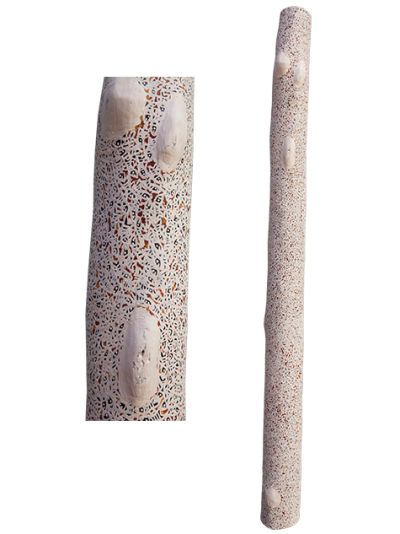 Australian Indigenous (Aboriginal and Torres Strait Islander) artwork by WUKUN WANAMBI of Buku-Larrnggay Mulka (Yirrkala). The title is Trial Bay. [4885G] (Earth Pigments on Hollow Log - Larrakitj)