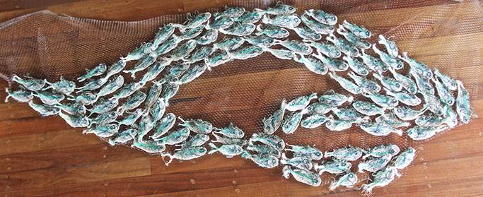 Australian Indigenous (Aboriginal and Torres Strait Islander) artwork by LYNNETTE GRIFFITHS of Miscellaneous Artists. The title is Tup - Sardines. [LG201705002_4/11] (Ghost Nets & Rope)