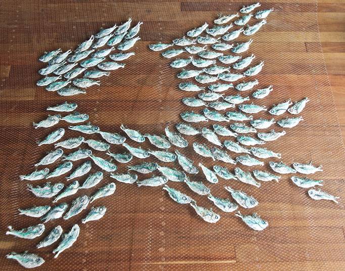 Australian Indigenous (Aboriginal and Torres Strait Islander) artwork by LYNNETTE GRIFFITHS of Miscellaneous Artists. The title is Tup - Sardines. [LG201705002_7/11] (Ghost Nets & Rope)