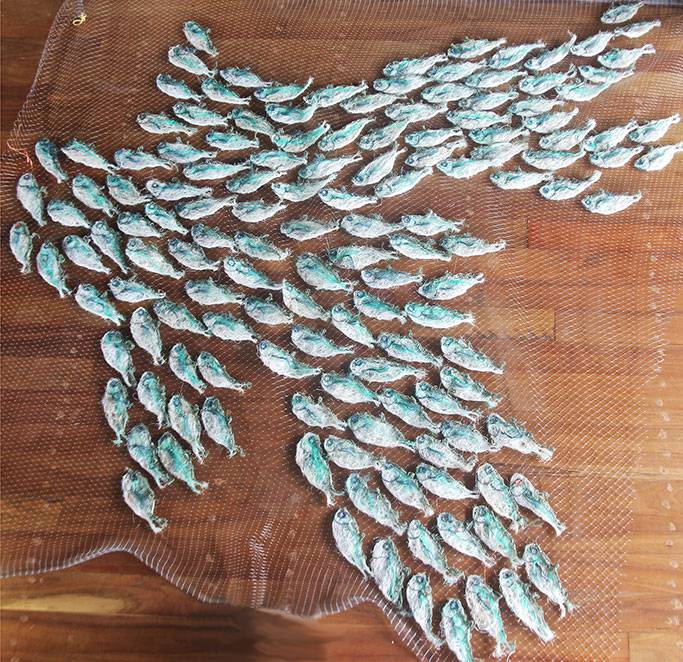 Australian Indigenous (Aboriginal and Torres Strait Islander) artwork by LYNNETTE GRIFFITHS of Miscellaneous Artists. The title is Tup - Sardines. [LG201705002_9/11] (Ghost Nets & Rope)