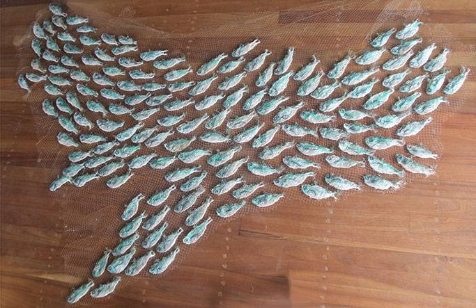 Australian Indigenous (Aboriginal and Torres Strait Islander) artwork by LYNNETTE GRIFFITHS of Miscellaneous Artists. The title is Tup - Sardines. [LG201705002_10/11] (Ghost Nets & Rope)