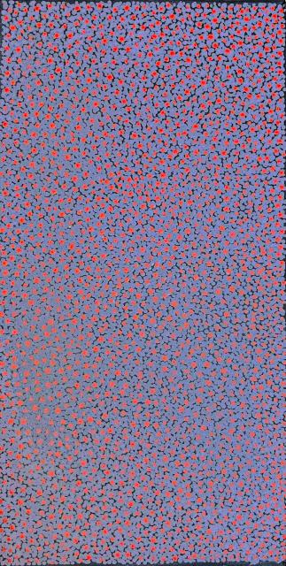 Australian Indigenous (Aboriginal and Torres Strait Islander) artwork by ANGELINA NUNGURRAYI of Papunya Tula Artists. The title is Untitled - Tjunginpa (Marsupial Mouse). [AN2405211] (Acrylic on Linen)