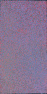 Australian Indigenous (Aboriginal and Torres Strait Islander) artwork by ANGELINA NUNGURRAYI of Papunya Tula Artists. The title is Untitled - Tjunginpa (Marsupial Mouse). [AN2405211] (Acrylic on Linen)