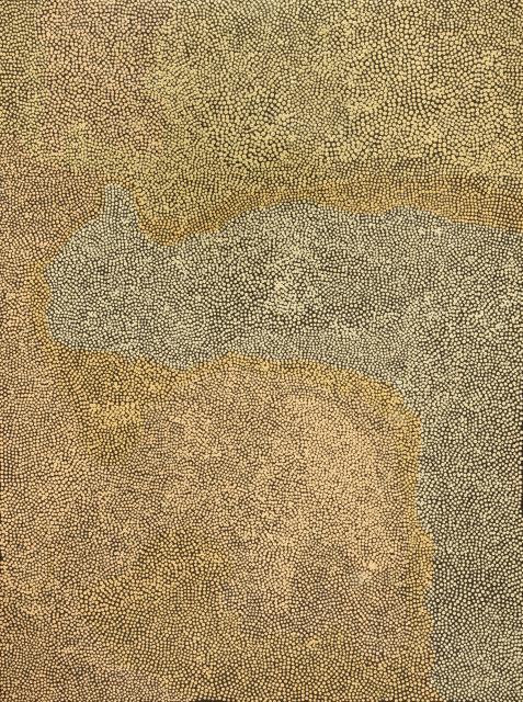 Australian Indigenous (Aboriginal and Torres Strait Islander) artwork by ANGELINA NUNGURRAYI of Papunya Tula Artists. The title is Untitled - Tjunginpa (Marsupial Mouse). [AM2606001] (Acrylic on Belgian Linen)