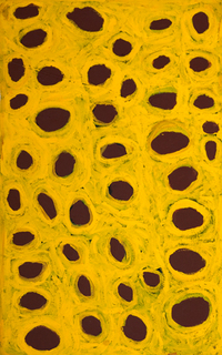 Australian Indigenous (Aboriginal and Torres Strait Islander) artwork by NANCY PINYIRR PATTERSON of Martumili Artists. The title is Untitled. [09-1443] (Acrylic on Canvas)