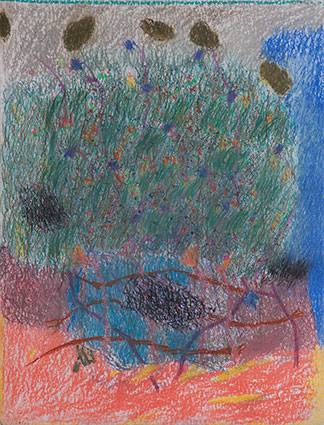 Australian Indigenous (Aboriginal and Torres Strait Islander) artwork by RAJNISH KAUR of Miscellaneous Artists. The title is Untitled. [RK_4-27_2014] (Soft Pastel on Paper)