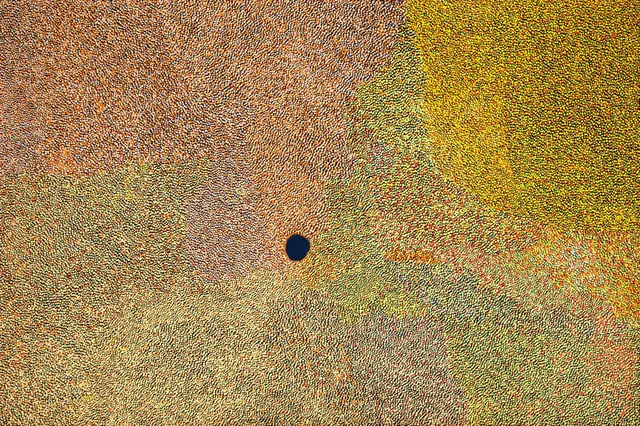 Australian Indigenous (Aboriginal and Torres Strait Islander) artwork by IMELDA (YUKENBARRI) GUGAMAN of Warlayirti Artists (Balgo). The title is Winpurpurla. [247/11] (Acrylic on Linen)