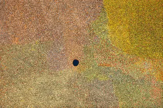 Australian Indigenous (Aboriginal and Torres Strait Islander) artwork by IMELDA (YUKENBARRI) GUGAMAN of Warlayirti Artists (Balgo). The title is Winpurpurla. [247/11] (Acrylic on Linen)