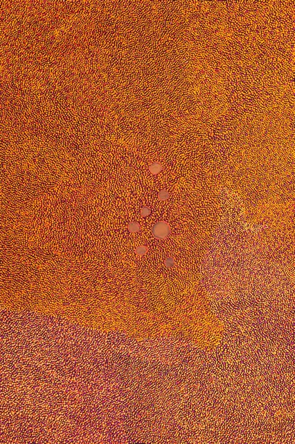 Australian Indigenous (Aboriginal and Torres Strait Islander) artwork by IMELDA (YUKENBARRI) GUGAMAN of Warlayirti Artists (Balgo). The title is Winpurpurla. [183/14] (Acrylic on Linen)