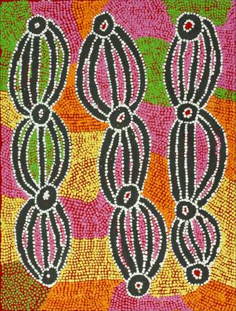 Australian Indigenous (Aboriginal and Torres Strait Islander) artwork by LIDDY NAPANANGKA WALKER of Warlukurlangu Artists (Yuendumu). The title is Wakirlpirri Jukurrpa. [684/04] (Acrylic on Belgian Linen)