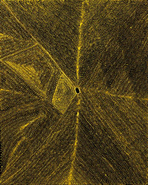 Australian Indigenous (Aboriginal and Torres Strait Islander) artwork by PEPAI JANGALA CARROLL of Ernabella Artists. The title is Walungurru. [287-11] (Acrylic on Canvas)