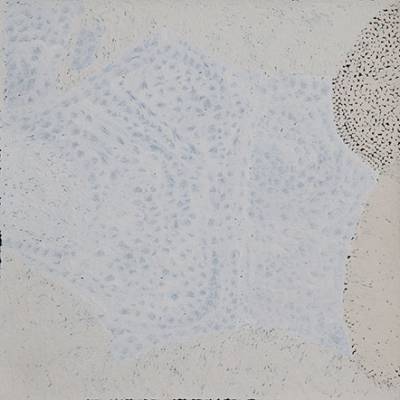 Australian Indigenous (Aboriginal and Torres Strait Islander) artwork by PEPAI JANGALA CARROLL of Ernabella Artists. The title is Walungurru. [468-14] (Acrylic on Canvas)