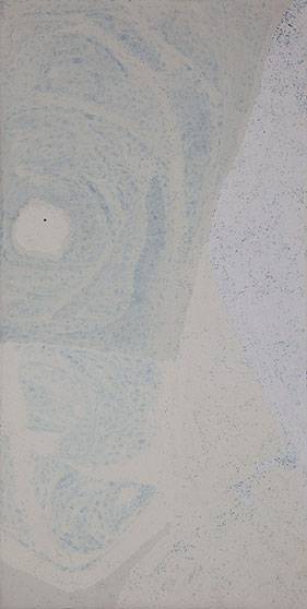 Australian Indigenous (Aboriginal and Torres Strait Islander) artwork by PEPAI JANGALA CARROLL of Ernabella Artists. The title is Walungurru. [449-14] (Acrylic on Canvas)