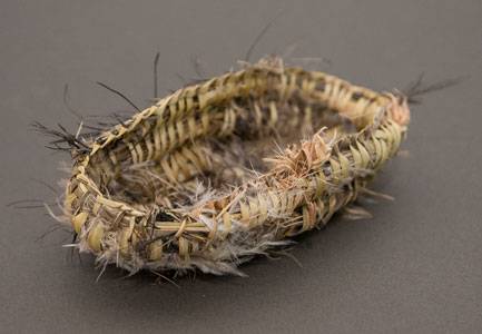 Australian Indigenous (Aboriginal and Torres Strait Islander) artwork by CASSIE LEATHAM of Baluk Artists. The title is Weaved Kangaroo Grass Coolamon. [123-18] (Found Materials and Fibres)
