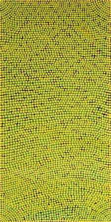 Australian Indigenous (Aboriginal and Torres Strait Islander) artwork by YVONNE KUNOTH of Tangentyere Artists. The title is Wild Berries - ’Snottygobbles’. [TAYK08C2425] (Acrylic on Canvas)