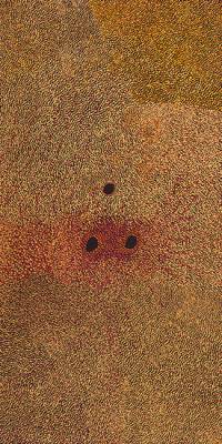 Australian Indigenous (Aboriginal and Torres Strait Islander) artwork by IMELDA (YUKENBARRI) GUGAMAN of Warlayirti Artists (Balgo). The title is Winpurpurla. [255/14] (Acrylic on Canvas)