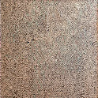 Australian Indigenous (Aboriginal and Torres Strait Islander) artwork by DOREEN REID NAKAMARRA of Papunya Tula Artists. The title is Wirrulnga. [DR0708027] (Acrylic on Belgian Linen)