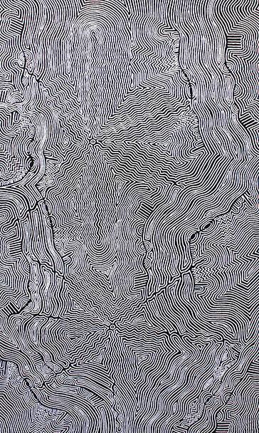 Australian Indigenous (Aboriginal and Torres Strait Islander) artwork by MARY ROBERTS NAKAMARRA of Papunya Tjupi Artists. The title is Yalka Tjukurrpa (Bush Onion) - Murini. [609-16] (Acrylic on Linen)