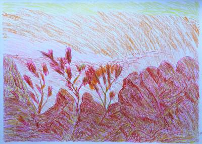 Australian Indigenous (Aboriginal and Torres Strait Islander) artwork by ADRIAN ROBERTSON of Mwerre Anthurre Artists (Bindi Inc). The title is Yalpirakinu. [9-23] (Pen/Pencil Drawing)