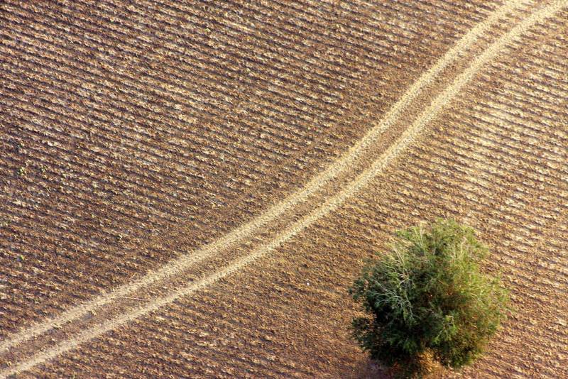 Australian Indigenous (Aboriginal and Torres Strait Islander) artwork by THIERRY REGNIER of Miscellaneous Artists. The title is Yang without Ying. [IMG_2743] (Print +  Gloss Laminate)