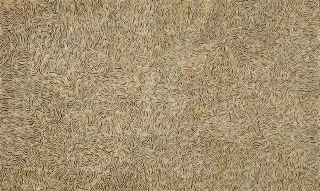 Australian Indigenous (Aboriginal and Torres Strait Islander) artwork by YUKULTJI NAPANGATI of Papunya Tula Artists. The title is Yunala. [YN0509169] (Acrylic on Canvas)